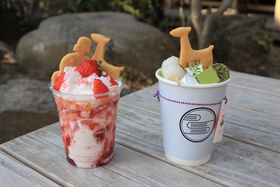 �ޗǌ����̐^�񒆂ɂ��镡�����H�X�u���ˁv�œ��{�����̐��ɐG���̋L���T���l�C��