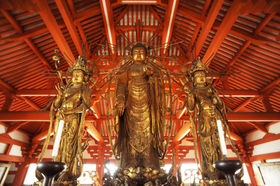 �������󂯂ĉ����ɋP���I���ɁE����̍���u����ɎO�����v�̋L���T���l�C��