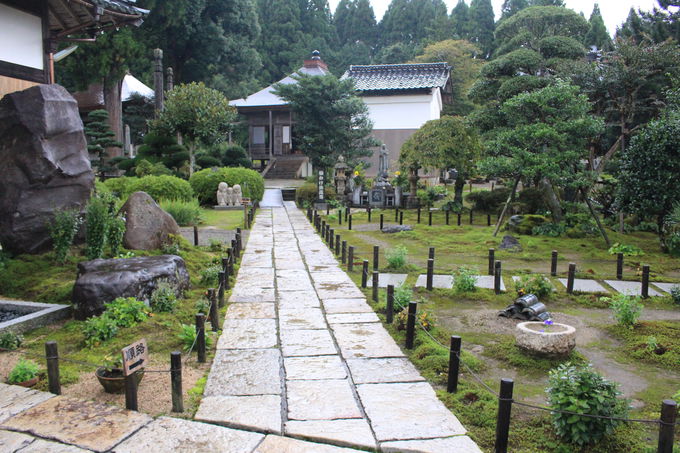 ���̎��Ȃ�ł͂̍�@�ɉ����Ă��Q��