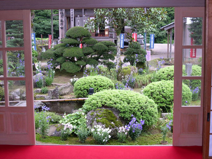 ���̎��Ȃ�ł͂̍�@�ɉ����Ă��Q��