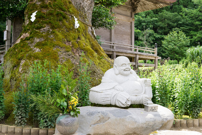 �������������U��