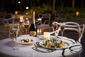 �㎿�ȃV�����p�[�j���ƁI���s�ł��ƂȂ̉������uChampagne Night��̋L���T���l�C��