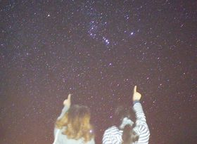 {œ[EgƊԁuyVœ[vŒ߂閞V̐̋LTlC