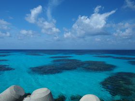 {œ[̓ugƊԓvŐΌȂX|bg5II̋LTlC