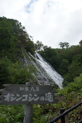 悭ĊSeڎwI̔鋫Emi̋LTlC