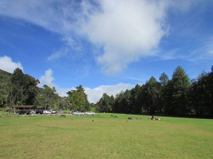 緑の芝生が広がる高原、コケエ州立公園でひとやすみ