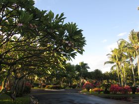 nCiɁIbAirbnbŁu炷oP[Vvyނ̋LTlC