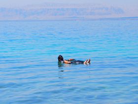 プカプカ浮かぼう！ヨルダン・死海で異次元体験