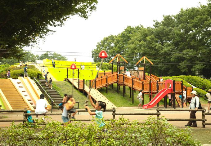 まるで無料のテーマパーク 東京 小金井公園で昔の遊びが大流行 東京都 トラベルjp 旅行ガイド