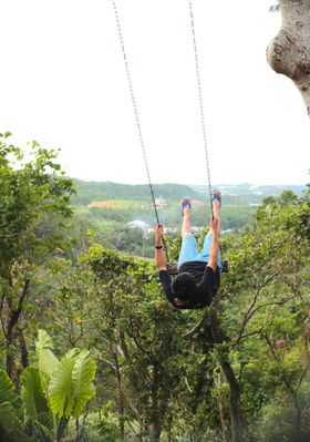 厩RɃ_CuIĂsUc[nEX鉫̏hI̋LTlC