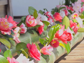 �t�̒ւ��������I���s�E�N�w�̓������́u��ӎ��v���ʌ��J�̋L���T���l�C��