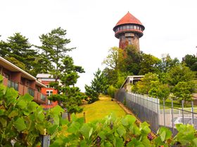 ���׎���������Ȃ��I���É��u�o���R�v������������E�߃X�|�b�g�̋L���T���l�C��