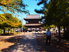 ��P�������蔲���������������I��������Ƃ̕�񎛢��������̋L���T���l�C��