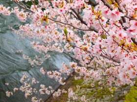 ���ꌧ�u�O�䎛�v�̍��͔��i�΂Ɣ��i�Α`���ƂƂ��Ɋy�������I�̋L���T���l�C��