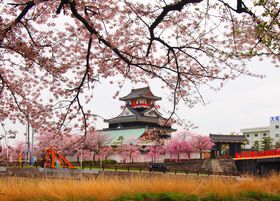 �t�̍����������D�c�M���̏o����I���m�u���F��v�Ƃ��̗��j�̋L���T���l�C��