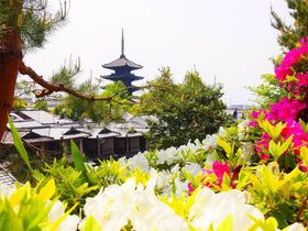 [ԖIV΂̋sŊyރTcLƃccW̖TI̋LTlC