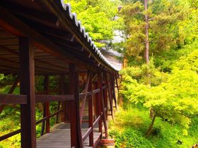 清水寺に南禅寺・京都東山エリアは人気観光スポットの宝庫