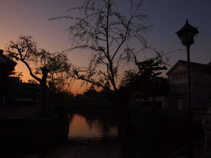 倉敷川の夕景