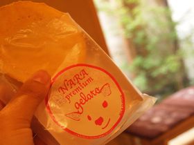 「鹿せんべいアイス」が驚きの美味さ！奈良・柿の葉ずし「平宗」のスイーツ
