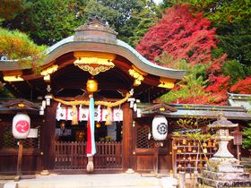 勇壮かつ美麗！宮本武蔵ゆかりの京都「八大神社」秋の見所