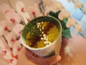 ���������Ċy�����I�u���s�E����Պ� �\��\��v�r�m�r�f�����j���[�̋L���T���l�C��