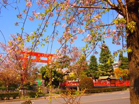 �������Ԍ��R�[�X�I���s�E����`���̍�����R��C���N���C���̋L���T���l�C��