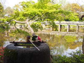 �뉀�ƌ����̌��w����������100�~�I���s�䉑�u�E�����v�̋L���T���l�C��