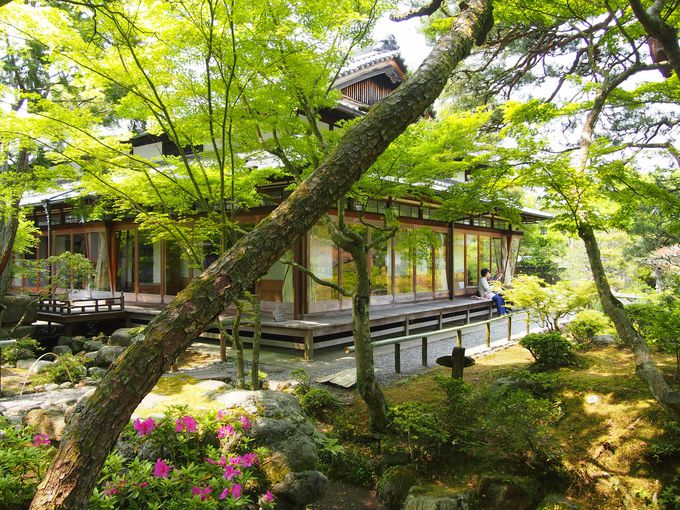 奈良観光で穴場のお寺と遊び場 ディープなスポット10選 トラベルjp 旅行ガイド
