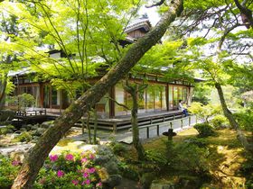 貴重な大正建築も！奈良市「吉城園」で初夏の美しい光景を