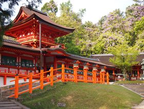 V΂ƓޗǁutЁv͓ʎQq߁I̋LTlC