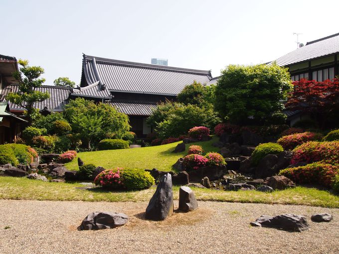 1�D�l�V�����^���s