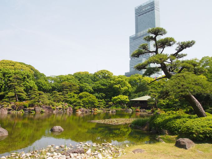 めっちゃええやん 大阪 天王寺の魅力を知るおすすめ10スポット トラベルjp 旅行ガイド