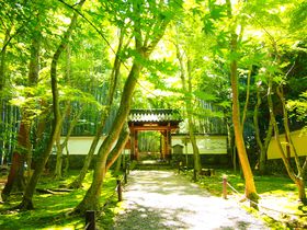 S[fEB[Nɂ߁Is̊όX|bg10I 쏰EE݂y2025z̋LTlC