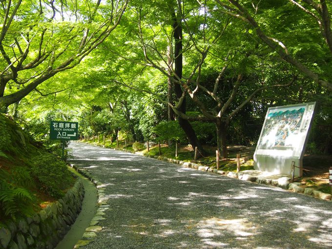 京都夏の 龍安寺 で爽やか水景色と緑の光景を堪能しよう 京都府 Lineトラベルjp 旅行ガイド