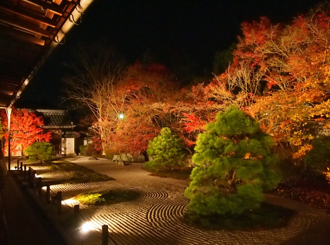 fUCf炵͎R