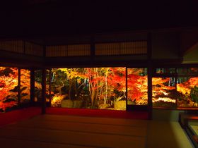 京都・南禅寺「天授庵」で幻想的なライトアップ庭園の鑑賞を