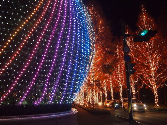 古都・京都のクリスマス！「ロームイルミネーション」