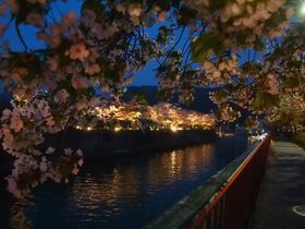 ���i�Α`�������̖���͐�i�I���s�u�������L���C�g�A�b�v�v�̋L���T���l�C��