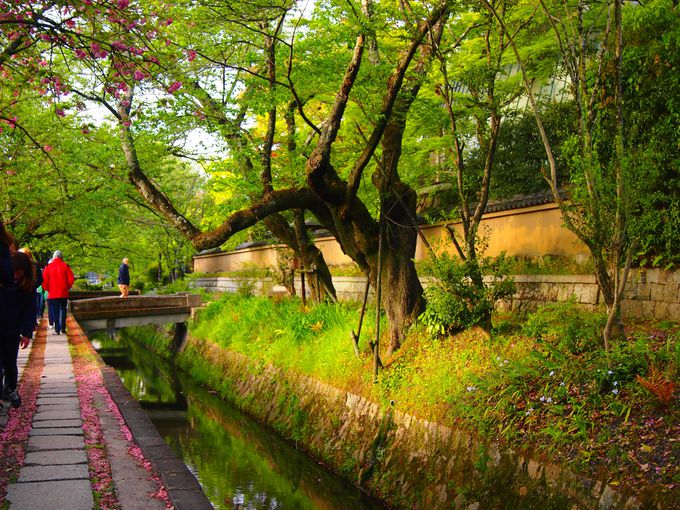 安楽寺・法然院・銀閣寺道 道標周辺