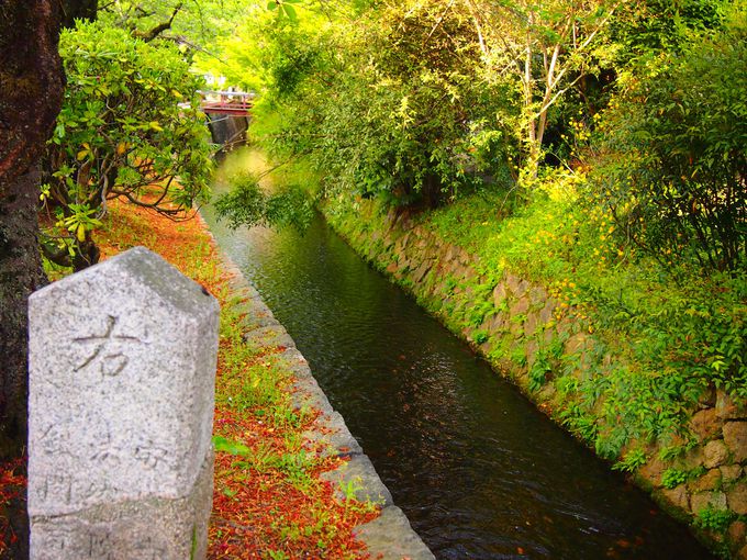 安楽寺・法然院・銀閣寺道 道標周辺