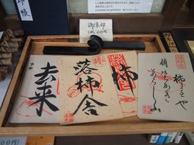 �u�`�v���`�[�t�ŏH�����I�o�l�䂩��̋��s���R�u���`�Ɂv�̋L���T���l�C��