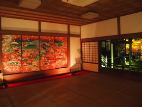 絶世の美女・小野小町ゆかりの京都「隨心院」美麗ライトアップ