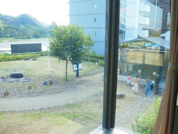 �����C�L