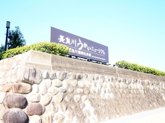 �������~���[�W�A���O��