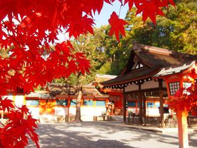 �_�X���W��ꏊ�I���s�E�g�c�R�u�g�c�_�Ёv�H�̍g�t�̋L���T���l�C��