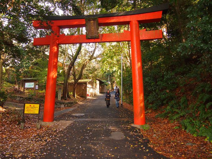 美しい紅葉と鳥居が続く 京都 吉田山 竹中稲荷社 京都府 Lineトラベルjp 旅行ガイド