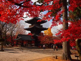 �O�d���ƍg�t���������I���s�u�^�@���v�H�̕K���|�C���g�̋L���T���l�C��