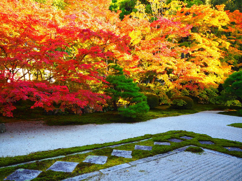 紅葉の庭園が鮮やか！京都・南禅寺「天授庵」心癒される秋の光景