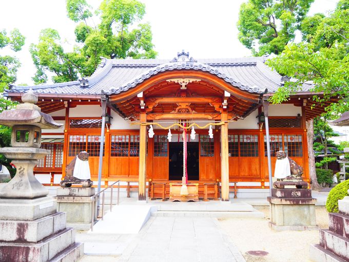 遊び心あふれる素敵な花手水 大阪府高槻市 野見神社 大阪府 トラベルjp 旅行ガイド