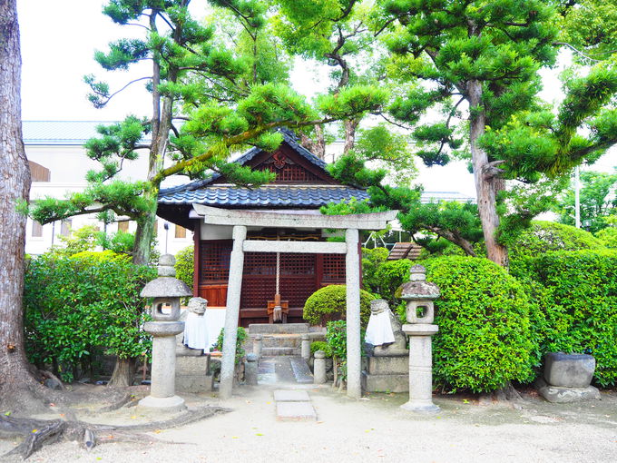 遊び心あふれる素敵な花手水 大阪府高槻市 野見神社 大阪府 トラベルjp 旅行ガイド